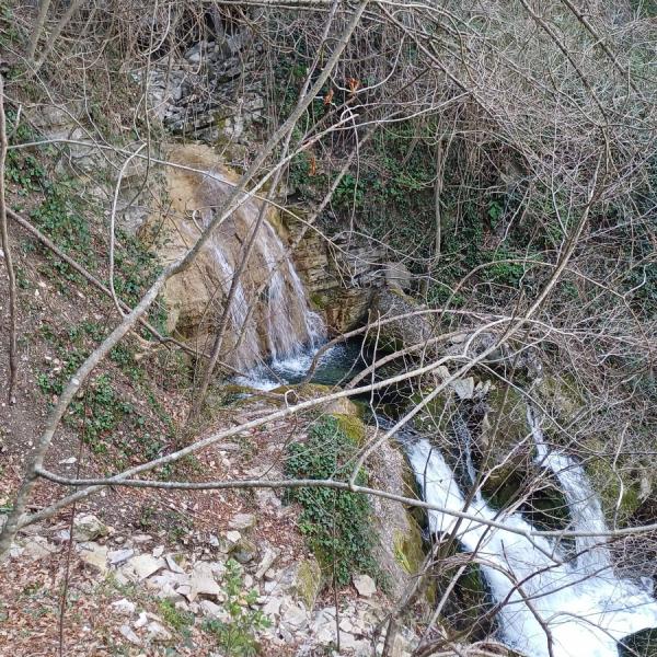 Sorgente Lucina - Verrino Agnone - Sergio Rusi